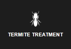 Termite Treatement